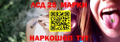 a pvp Тара