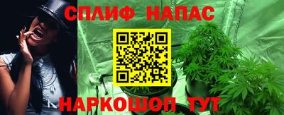 a pvp Тара