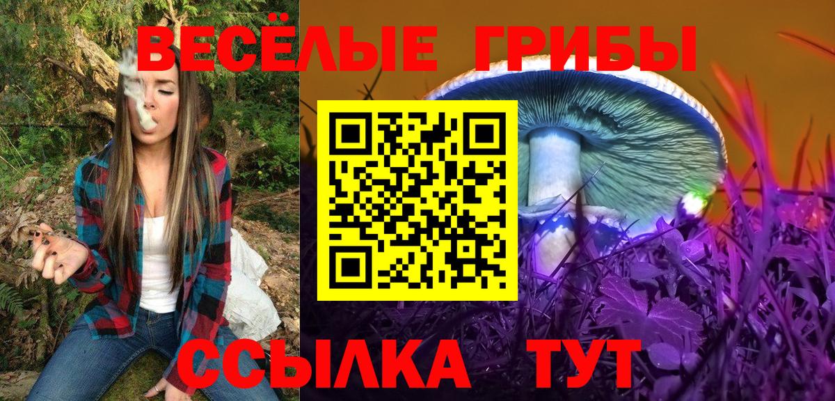 Псилоцибиновые грибы GOLDEN TEACHER Батайск